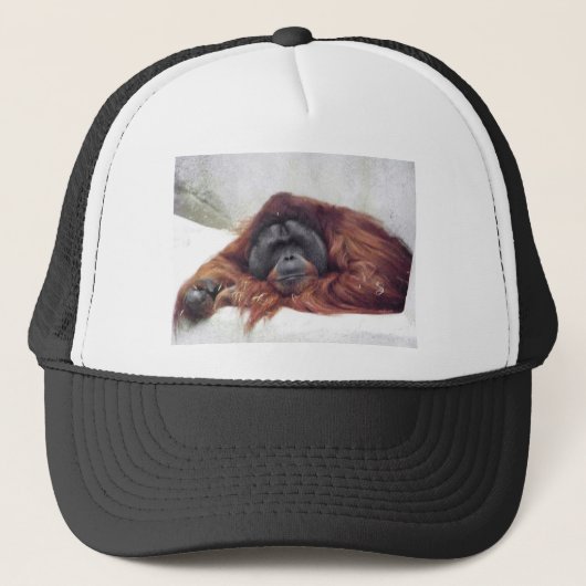 Orangutan Trucker Pet (Voorkant)