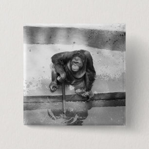 Orangutan Vierkante Button 5,1 Cm