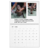 Orangutans Borneo Calendar Kalender (Mar 2026)