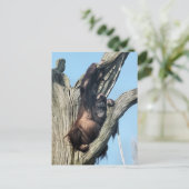 ORANGUTANS BRIEFKAART (Staand voorkant)