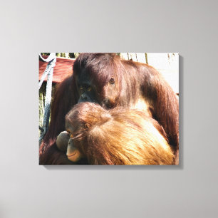 ORANGUTANS CANVAS AFDRUK