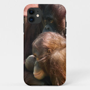 ORANGUTANS iPhone 11 HOESJE