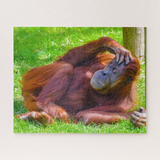 Orangutans. Jigsaw Puzzle Legpuzzel (Horizontaal)