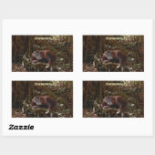 Orangutans & Jungle Great Ape Primate Stickers (Feuille)