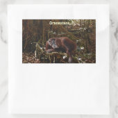 Orangutans & Jungle Great Ape Primate Stickers (Sac)