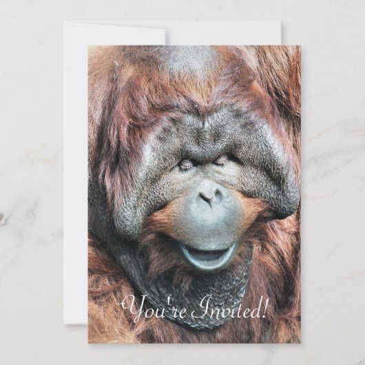 ORANGUTANS KAART (Voorkant)