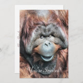 ORANGUTANS KAART (Voorkant / Achterkant)