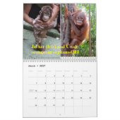 Orangutans Kalender (Mar 2027)