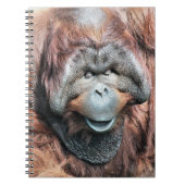 ORANGUTANS NOTITIEBOEK (Voorkant)