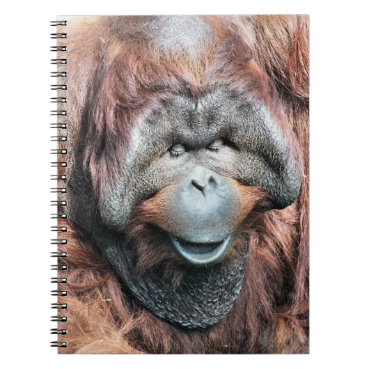 ORANGUTANS NOTITIEBOEK (Voorkant)