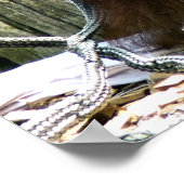 ORANGUTANS POSTER (Hoek)