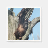 ORANGUTANS SERVETTEN (Voorkant)