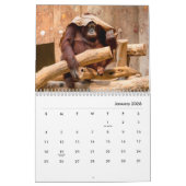Orangutans Wall Agenda Kalender (Jan 2026)