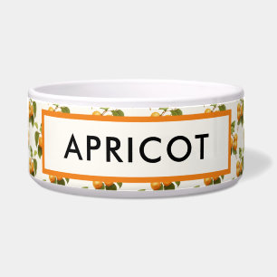  Oranje Abrikozen Waterverf Patroon Voerbakje