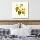  Oranje Abrikozen Waterverf Tekening Canvas Afdruk (Insitu (Slaapkamer))