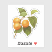 Oranje Abrikozen Waterverf Tekening Sticker (Vel)