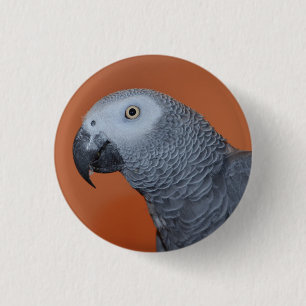 Oranje-Afrikaanse grijze papegaai-Button/badge Ronde Button 3,2 Cm