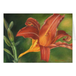 Oranje assiatische Lily
