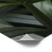 Oranje barst poster (Hoek)