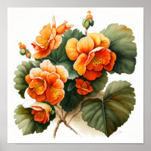 Oranje Begonia's Bloemenkunst Print Poster