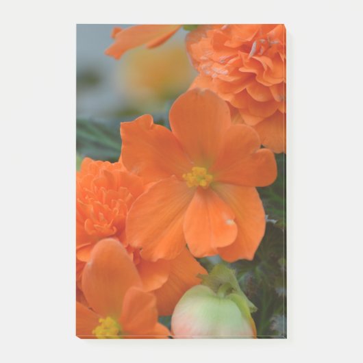 Oranje Begonias Post-it® Notes (Voorkant)