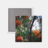 Oranje bessen magneet (Voorkant / Achterkant)