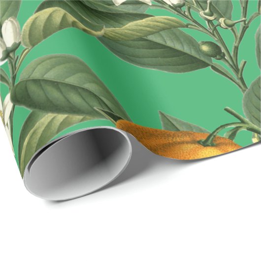  Oranje blaasbloem Cadeaupapier (Rol Hoek)