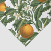  Oranje blaasbloem Tissuepapier (Detail)