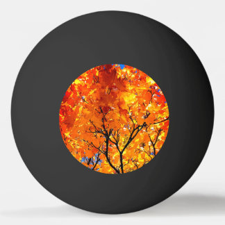 Oranje bladeren pingpongballen