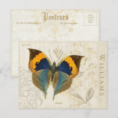  Oranje blauw vlinder Botanisch Briefkaart (Voorkant / Achterkant)