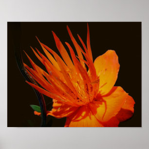 Oranje bloem in zonnebloemen poster