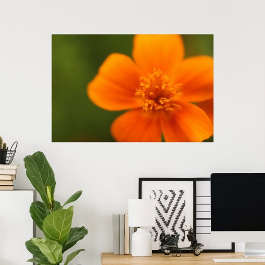 Oranje bloem poster (Thuiskantoor)