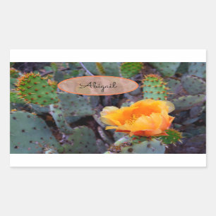 Oranje bloemcilinders Blossom Opuntia Prickly Pear Rechthoekige Sticker