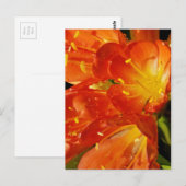 Oranje bloemen briefkaart (Voorkant / Achterkant)