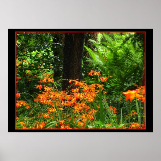 Oranje bloemen in het bos poster (Voorkant)