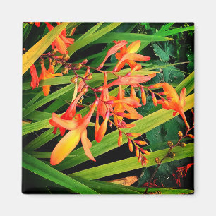 Oranje bloemen magneet