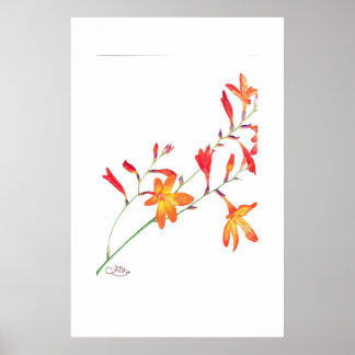 Oranje bloemen poster