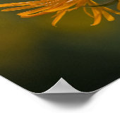 Oranje bloemkoppen Inula Orientalis CC0023 Poster (Hoek)