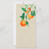 Oranje Bloesem Trouwprogramma (Achterkant)