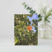 Oranje bloesems briefkaart (Staand voorkant)