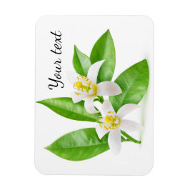 Oranje bloesems magneet