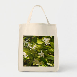ORANJE BLOSSOMS VAN FLORIDA-Canvas tas