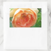 Oranje Blush Roos Rechthoekige Sticker (Tas)