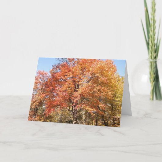 Oranje bomen feestdagen kaart (Voorkant)