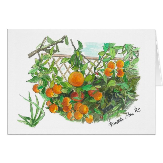 Oranje boom (Voorkant Horizontaal)