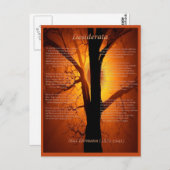 Oranje boom briefkaart (Voorkant / Achterkant)