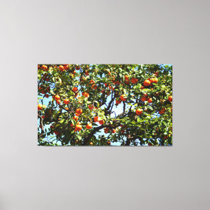 Oranje boom canvas afdruk