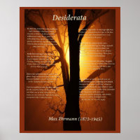Oranje boom