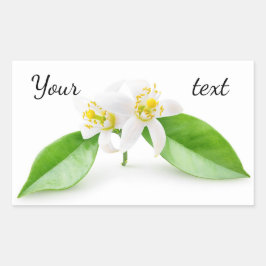 Oranje boombloemen rechthoekige sticker