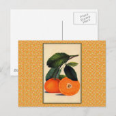 Oranje botanische afdrukken Briefkaart (Voorkant / Achterkant)